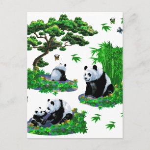niedlicher Panda-Cartoon Postkarte