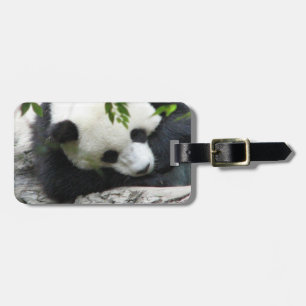 Niedlicher Panda-Gepäck-Umbau Gepäckanhänger