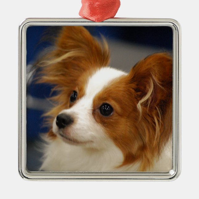 Niedlicher Papillon Hund Ornament Aus Metall (Vorne)