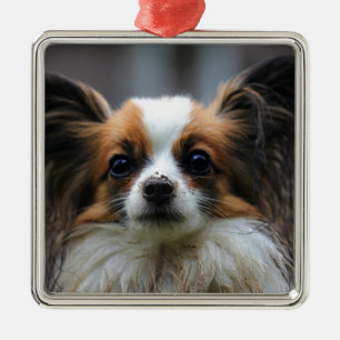 Niedlicher papillon Hund Ornament Aus Metall