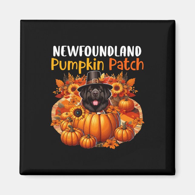 Niedlicher Patch Erntedank Pumpkins Fall Magnet (Vorne)