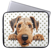 NIEDLICHER PEEKING BROWING AIREDALE TERRIER DOG