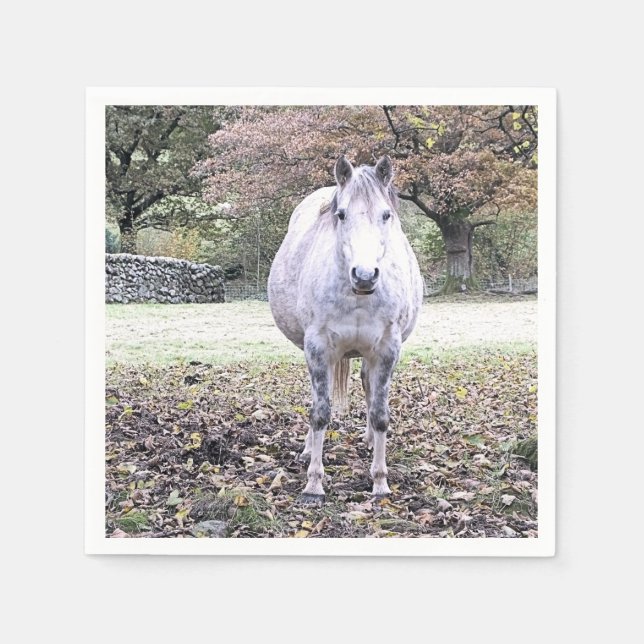 NIEDLICHER PFERD SERVIETTE (Vorderseite)