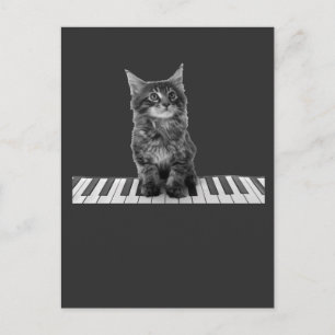 Niedlicher Piano Cat Pianist Keyboard Player Postkarte