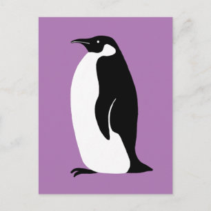 Niedlicher Pinguin Lila Schwarz-weiß Postkarte