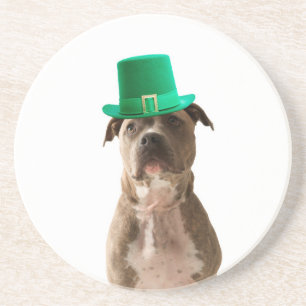 Niedlicher Pit Bull Dog Hat St. Patrick's Day Getränkeuntersetzer