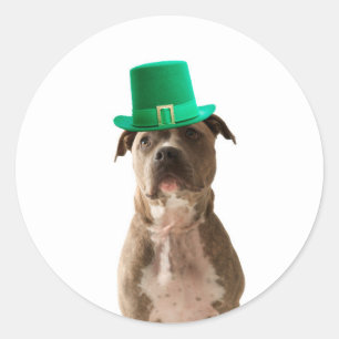 Niedlicher Pit Bull Dog Hat St. Patrick's Day Runder Aufkleber