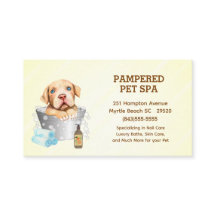 Niedlicher Pit Bull Terrier Pet Groomer Wellness-C