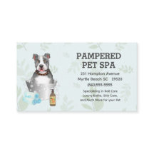 Niedlicher Pit Bull Terrier Pet Groomer Wellness-C