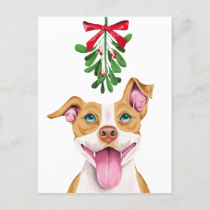 Niedlicher Pitbull Dog und Mistletoweihnachtsfest Feiertagspostkarte