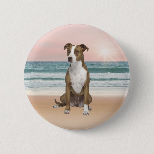 Niedlicher Pitbull Hund sitzend am Strand mit Sonn Button (Vorderseite)