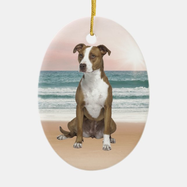 Niedlicher Pitbull Hund sitzend am Strand mit Sonn Keramik Ornament (Vorne)