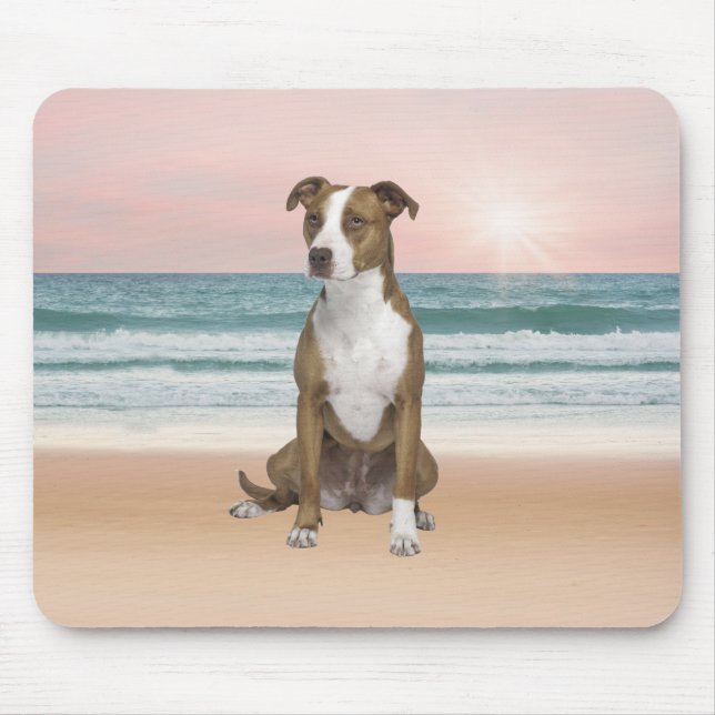 Niedlicher Pitbull Hund sitzend am Strand mit Sonn Mousepad (Vorne)