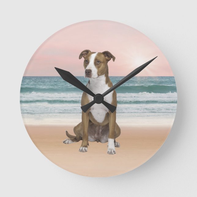 Niedlicher Pitbull Hund sitzend am Strand mit Sonn Runde Wanduhr (Vorderseite)