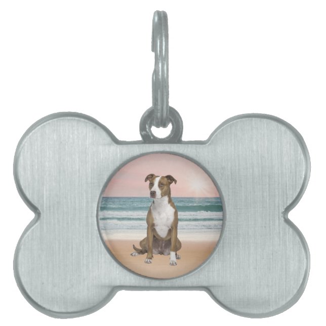 Niedlicher Pitbull Hund sitzend am Strand mit Sonn Tiermarke (Vorderseite)