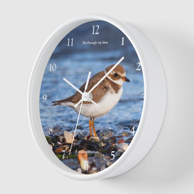 Niedlicher Plover Sandpiper Shorebird Wanduhr (Winkel)