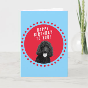 Niedlicher Poodle Hund Happy Birthday Red Dots Cir Karte