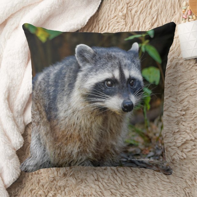 Niedlicher Posing Nordamerikanischer Raccoon Kissen (Decke)