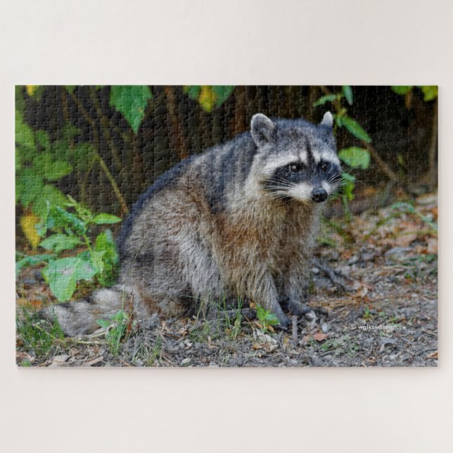 Niedlicher Posing Nordamerikanischer Raccoon Puzzle (Horizontal)