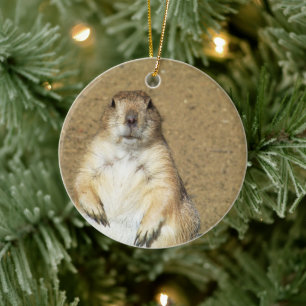 Niedlicher Prairie Dog Ornament