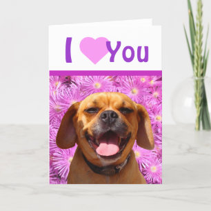 Niedlicher Puggle Valentine Feiertagskarte