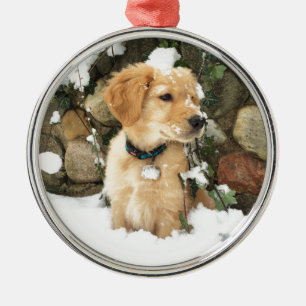 Niedlicher Puppy Labrador Retrieve Silbernes Ornament