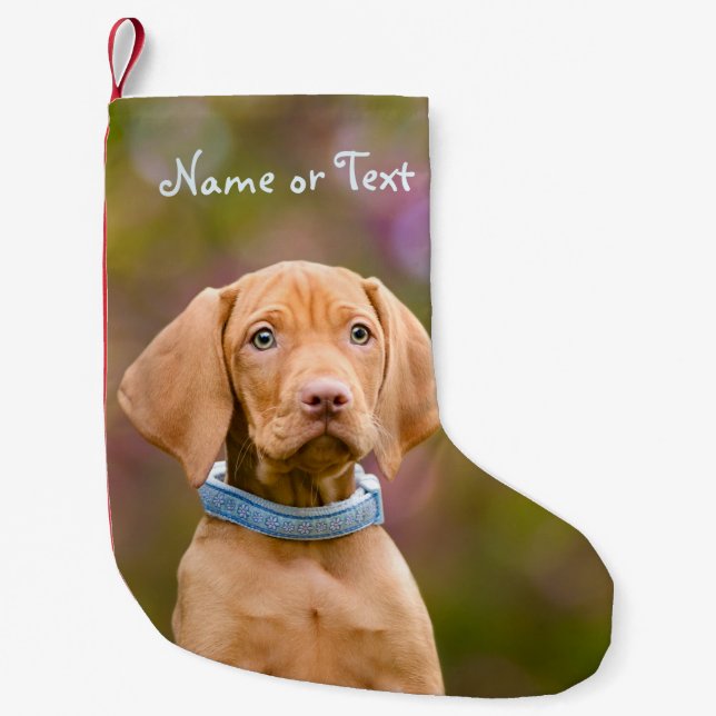 Niedlicher puppyeyed Ungar Vizsla Hundewelpe - Kleiner Weihnachtsstrumpf (Vorderseite)