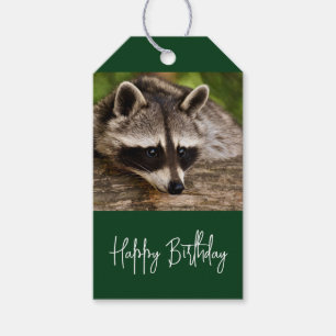 Niedlicher Raccoon auf einem Log Geburtstag Geschenkanhänger