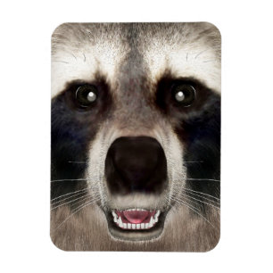 Niedlicher Raccoon Head Funny Animal Portrait Magnet
