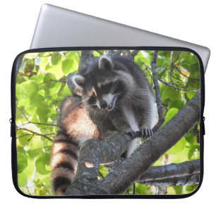 Niedlicher Raccoon in einem Baum Laptopschutzhülle