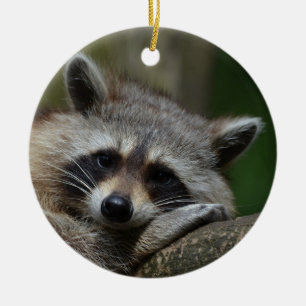 Niedlicher Raccoon Keramik Ornament
