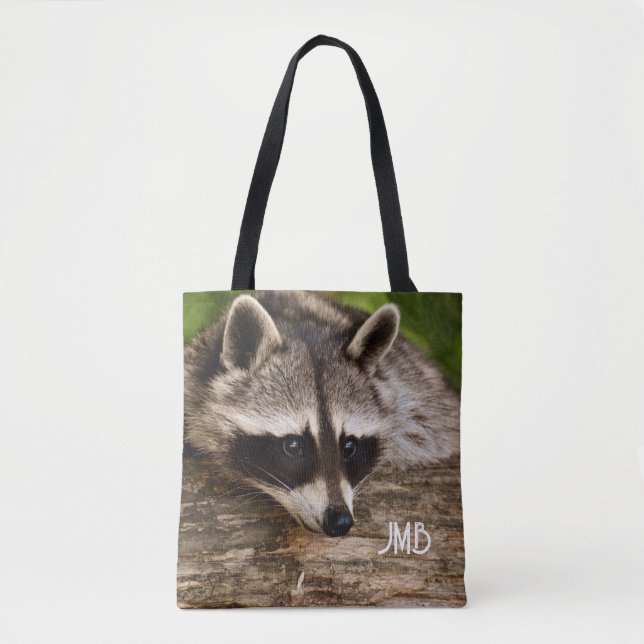Niedlicher Raccoon-Ruhen auf einem Protokoll (Vorderseite)