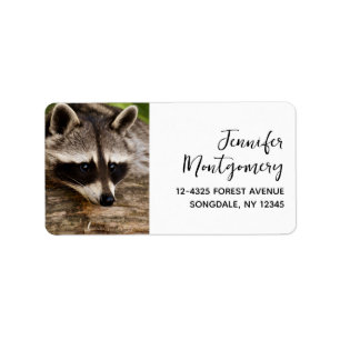 Niedlicher Raccoon-Ruhen auf einem Protokoll Adressaufkleber
