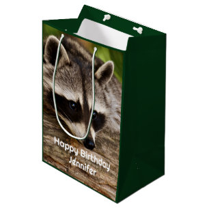 Niedlicher Raccoon-Ruhen auf einem Protokoll Mittlere Geschenktüte
