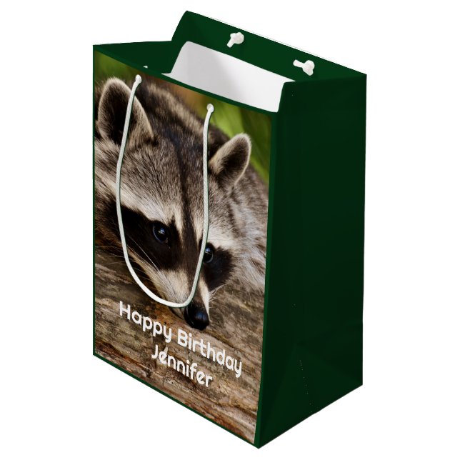 Niedlicher Raccoon-Ruhen auf einem Protokoll Mittlere Geschenktüte (Vorderseite Schrägansicht)