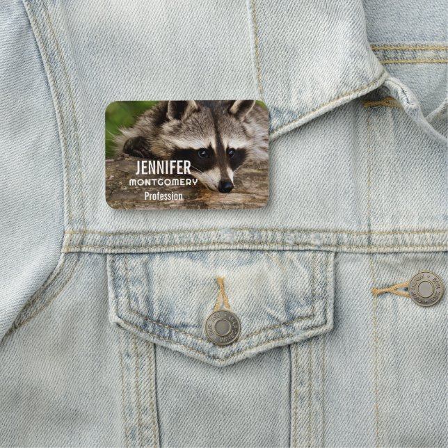 Niedlicher Raccoon-Ruhen auf einem Protokoll Namensschild (Beispiel)