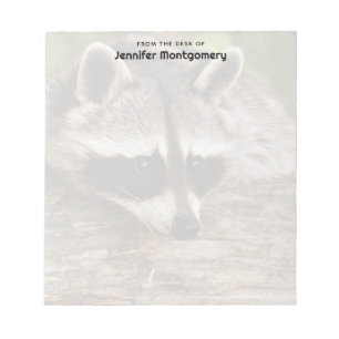 Niedlicher Raccoon-Ruhen auf einem Protokoll Notizblock