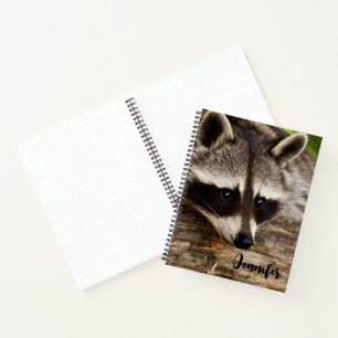 Niedlicher Raccoon-Ruhen auf einem Protokoll Notizbuch
