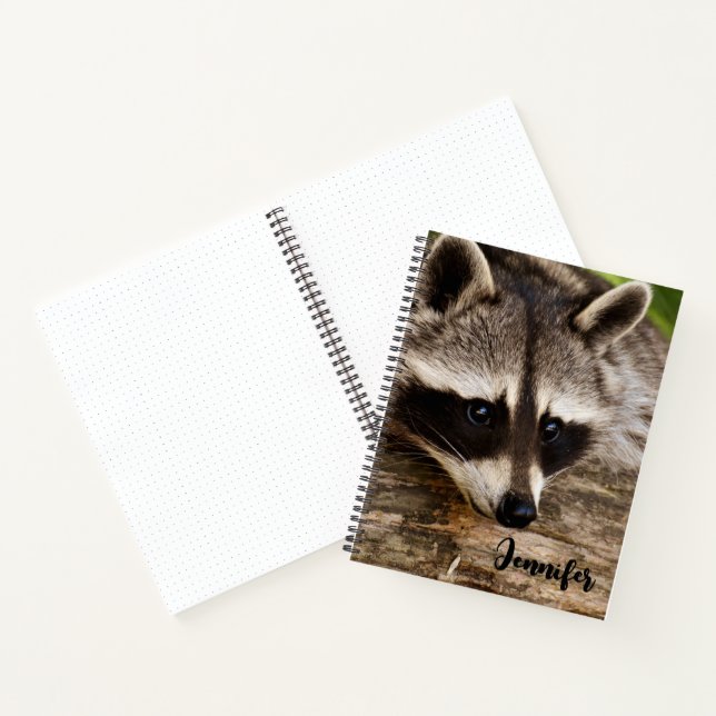 Niedlicher Raccoon-Ruhen auf einem Protokoll Notizbuch (Innenseite)