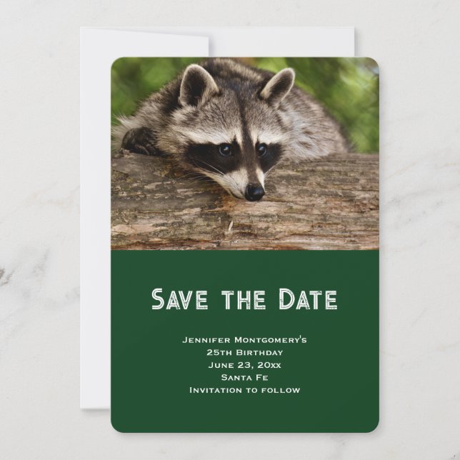 Niedlicher Raccoon-Ruhen auf einem Protokoll Save The Date (Vorderseite)