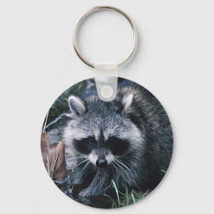 Niedlicher Raccoon Schlüsselanhänger