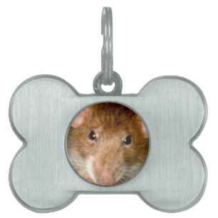 Niedlicher Ratten-Gesichts-Haustier-Umbau Tiermarke