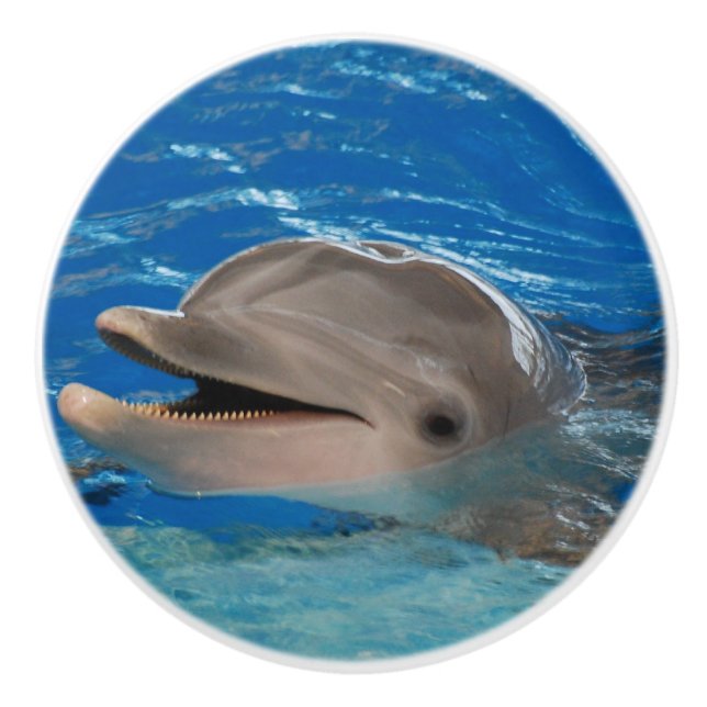 Niedlicher Ratterndelphin Keramikknauf (Vorderseite)