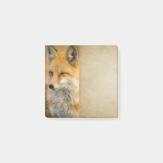 Niedlicher Red Fox Wilderness Nature Fotografy Pos Post-it Klebezettel (Vorderseite)