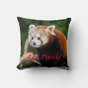 Niedlicher Red Panda Wild Nature Red Text Kissen