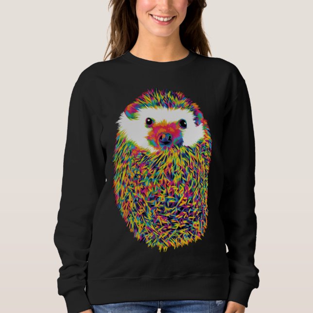 Niedlicher Regenbogen-Igel Sweatshirt (Vorderseite)