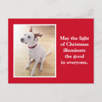 Niedlicher Rentier Welpenhund Weihnachten