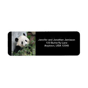 Niedlicher Riesenpanda, schwarze Rücksendeadressen