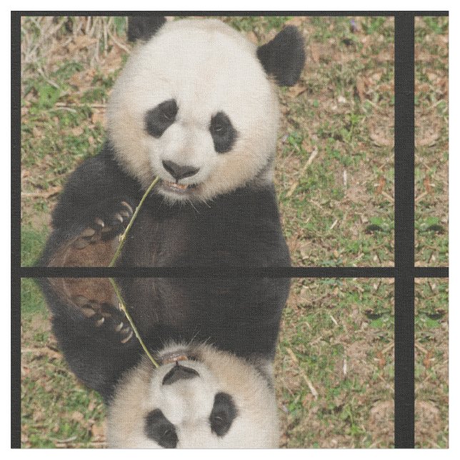 Niedlicher riesiger Panda-Bär Stoff (Nahaufnahme)