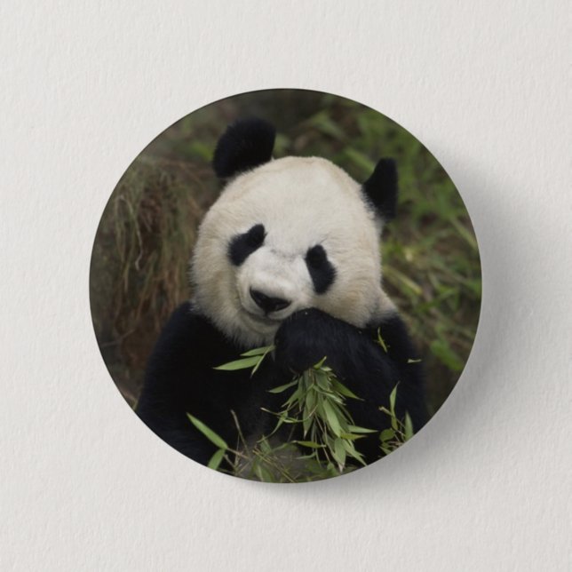 Niedlicher riesiger Panda Button (Vorderseite)